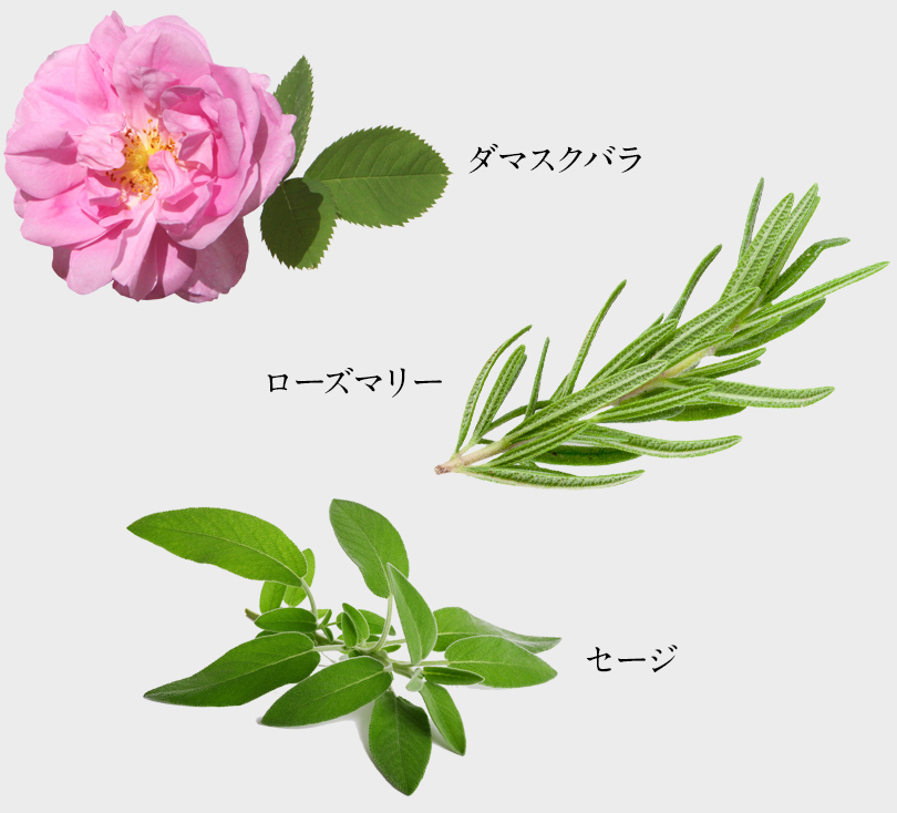 イポラニの成分